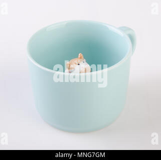 Mug ou tasse en céramique à la main sur des animaux de fond.mug ou tasse en céramique à la main sur des animaux. Banque D'Images