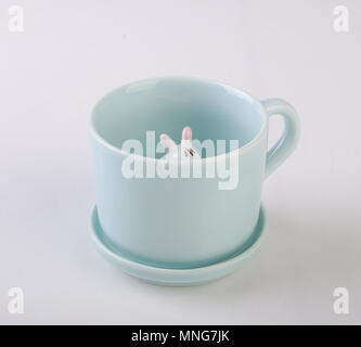 Mug ou tasse en céramique à la main sur des animaux de fond.mug ou tasse en céramique à la main sur des animaux. Banque D'Images