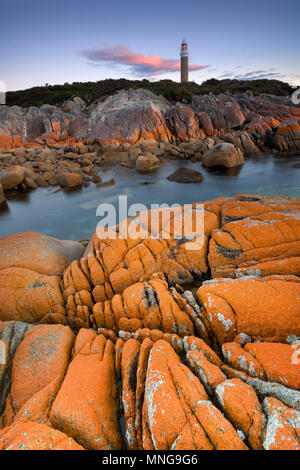 Le phare d'Eddystone point, le parc national de Mount William, Bay of Fires Tasmanie Banque D'Images