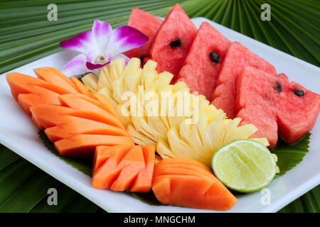 Mélange de fruits ont le melon, la papaye et l'ananas sur le plat. Banque D'Images