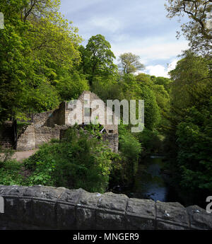 Le Jesmond Dene en été, Newcastle-upon-Tyne, Tyne et Wear, Angleterre, Royaume-Uni Banque D'Images