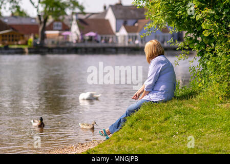 Femme aux cheveux blonds assis sur une berge herbeuse nourrir les canards est de soleil du printemps. Banque D'Images