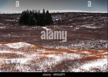 Vallée désolée en Islande avec une petite cabane à côté de 2 ou 3 arbres, avril 2018 Banque D'Images