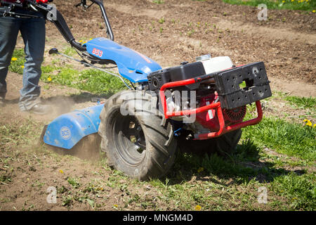 Québec, Canada-16 mai 2018 : Femme au volant 853 HP 13 BCS motoculteur est un tracteur populaire la préparation du sol sur un jardin extérieur Banque D'Images