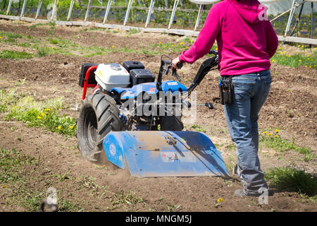 Québec, Canada-16 mai 2018 : Femme au volant 853 HP 13 BCS motoculteur est un tracteur populaire la préparation du sol sur un jardin extérieur Banque D'Images