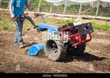 Femme au volant motoculteur tracteur la préparation du sol sur un jardin extérieur Banque D'Images