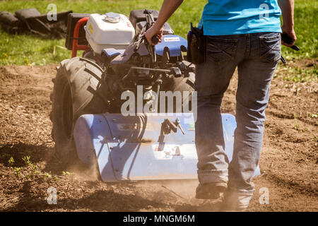 Femme au volant motoculteur tracteur la préparation du sol sur un jardin extérieur Banque D'Images