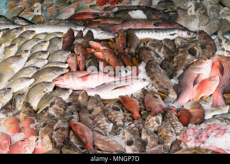 Divers types de poissons sont affichées sur le tableau à la vente sur le marché. Le poisson est mélangé avec de la glace pour conserver sa fraîcheur. Banque D'Images