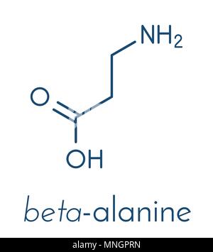 Beta-alanine molécule. La version bêta d'origine naturelle acide aminé. Précurseur de la carnosine. Les athlètes utilisent souvent des suppléments de bêta-alanine. Formule topologique. Illustration de Vecteur