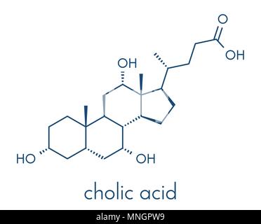 L'acide cholique cholate (molécule). Principaux composants de l'acide biliaire. Formule topologique. Illustration de Vecteur