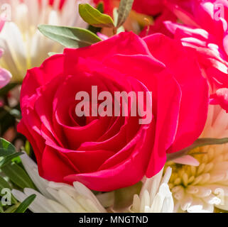 Une rose rouge head set amungst un magnifique bouquet de fleurs prises à la lumière naturelle. L'image est montrant la tête rose en vue et serait une bonne Banque D'Images