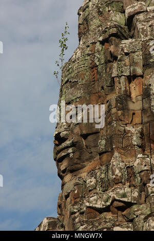 L'entrée de Ta Prohm, Cambodge Banque D'Images