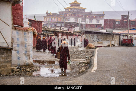 Les nonnes tibétaines marche dans la neige, Yarchen Gar, Sichuan, Chine Banque D'Images