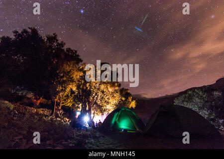 Forest a souligné avec joie la nuit avec des étoiles sur sky Banque D'Images