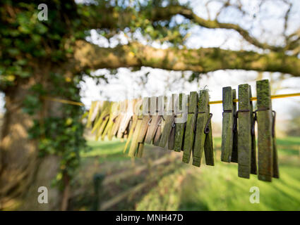 Des pinces à linge en bois sur un lave-ligne à la ferme Devon, UK Banque D'Images