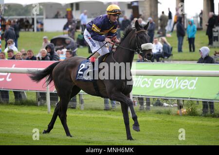York, Royaume-Uni. 16 mai 2018. Donner et prendre monté par James Doyle Festival Dante 2018 hippodrome de York, l''hippodrome de York, York, Angleterre 16 mai 2018 Allstar Crédit : photo library/Alamy Live News Banque D'Images