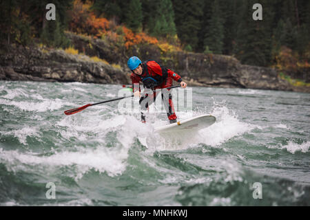 Homme aventureux paddleboarding sur Snake River, Jackson, Wyoming, USA Banque D'Images