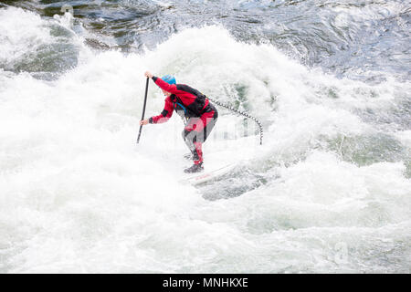 L'homme la navigation rapides tout en stand-up paddleboarding sur la rivière Snake, Jackson, Wyoming, USA Banque D'Images