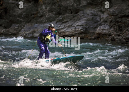 Vue de côté de l'homme aventureux paddleboarding en bas des rapides sur la rivière Snake, Jackson, Wyoming, USA Banque D'Images