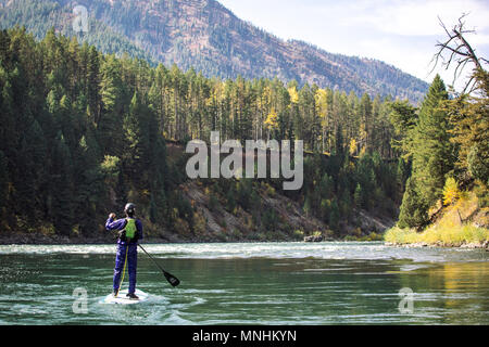 Vue arrière du stand-up man paddleboarding sur la rivière Snake, Jackson, Wyoming, USA Banque D'Images