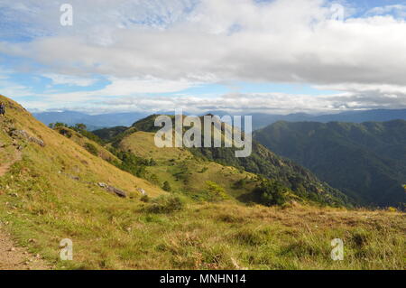 Cordillera, Mont Ulap ou mesófilo de montagne est situé dans Ampucao, Itogon Benguet, avec une altitude de 1846 mètres Banque D'Images