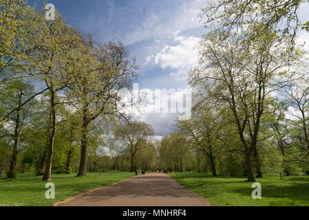 Promenade dans les jardins de Kensington Lancaster Banque D'Images