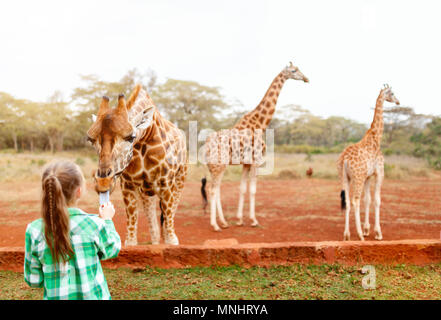 Cute little girl nourrir les girafes en Afrique Banque D'Images