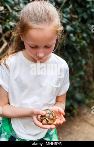 Portrait of cute little girl holding baby tortue Banque D'Images