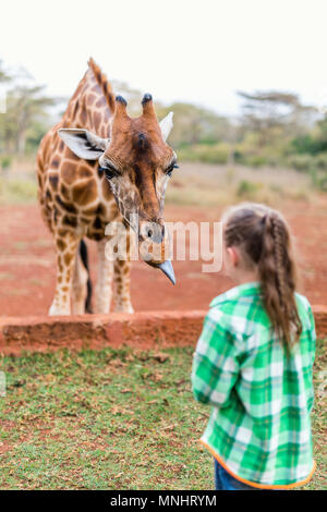 Cute little girl nourrir les girafes en Afrique Banque D'Images