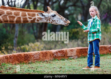 Cute little girl nourrir les girafes en Afrique Banque D'Images