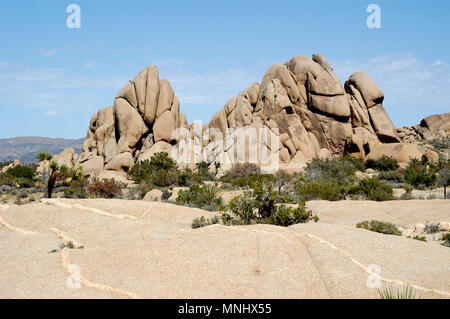 Rock Pile monzogranite, aplitiques Jumbo Rocks, veines, Joshua Tree National Park, CA 0702 040410 Banque D'Images