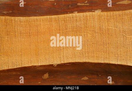 La texture en bois avec des traces de la scie pour l'arrière plan. Banque D'Images