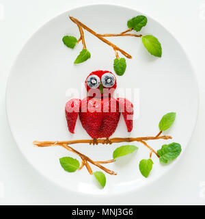 Art alimentaire concept créatif. Les hiboux assis sur une branche. Fraise, myrtille, chocolat, menthe composition. Vue d'en haut. Banque D'Images
