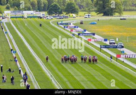 Porteur et les cavaliers en compétition dans le 'soutient Betfred Jack Berry House' Handicap pendant deux jours de la fête de Dante 2018 hippodrome de York. Banque D'Images