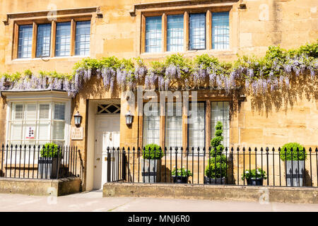 Les fleurs de glycine sur un bâtiment en pierre de Cotswold à Chipping Campden, Cotswolds, en Angleterre, UK. Banque D'Images