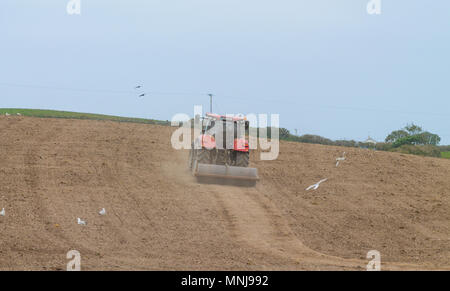 Farmer le roulement d'un champ sur une ferme en Irlande, avec un rouleau lourd tiré par un tracteur avant de semer une récolte de blé. Banque D'Images