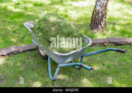 Brouette ancienne entièrement chargé avec des fauchés sur pré vert après la coupe pelouse dans le jardin. Le nettoyage et le jardinage Banque D'Images