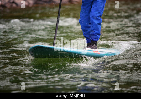 La section basse de man paddleboarding sur la rivière Snake, Jackson Hole, Wyoming, USA Banque D'Images