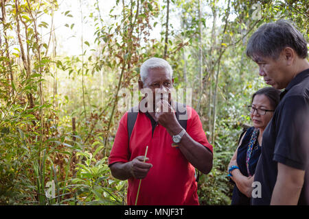 Les gens de la forêt au randonneur,Cameron Highlands, Malaisie Banque D'Images