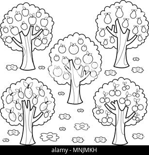 Les arbres fruitiers. Livre de coloriage noir et blanc la page Illustration de Vecteur