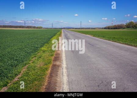 Route près de Mannsdorf an der Donau Ville de Basse Autriche Banque D'Images