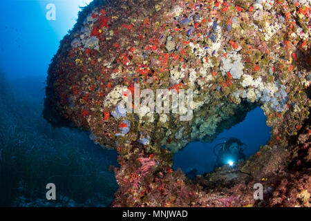 Plongée sous-marine féminine encadrée dans une arche sous-marine couverte de vie marine colorée dans le parc naturel de ses Salines (Formentera, mer Méditerranée, Espagne) Banque D'Images