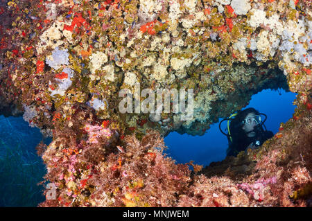 Plongée sous-marine féminine encadrée dans une arche sous-marine couverte de vie marine colorée dans le parc naturel de ses Salines (Formentera, mer Méditerranée, Espagne) Banque D'Images