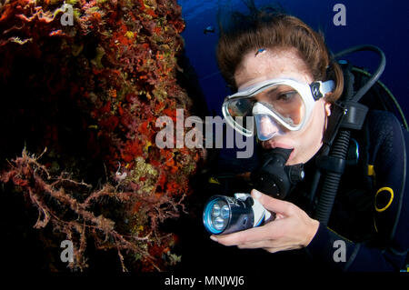 Vue sous-marine avec une femelle plongée sous-marine à la recherche d'un hervia pèlerin (Cratena peregrina) dans le Parc naturel de Ses Salines (Formentera,Méditerranée,Espagne) Banque D'Images