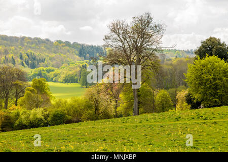 L'Angleterre, dans le Hampshire. 2 mai 2017. Château de Highclere. Châteaux et jardins gounds. Banque D'Images