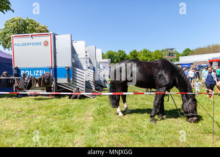 Hambourg / Allemagne - Mai 6, 2018 : la police allemande calèche sur un enclos. Polizeipferde police signifie des chevaux. Banque D'Images