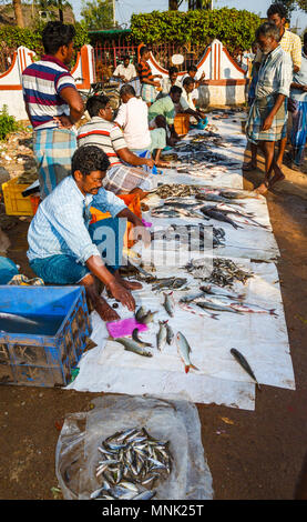 Route pour le marché local fraîchement pêché les poissons de rivière près de Thanjavur, anciennement Tanjore, une ville dans le sud de l'état indien du Tamil Nadu, Inde Banque D'Images