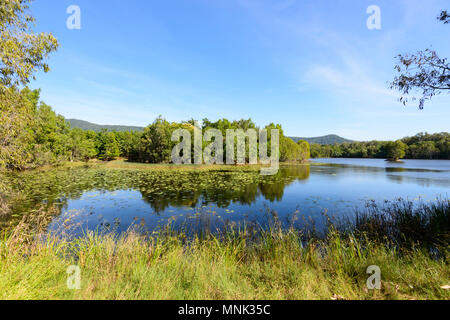 View of scenic Cattana les Zones Humides, a réhabilité la conservation de la nature park à Smithfield, près de Cairns, l'extrême nord du Queensland, Australie, Queensland, FNQ Banque D'Images