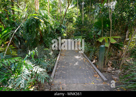 La promenade de Cattana Les zones humides, un parc de conservation de la nature remis en état à Smithfield, près de Cairns, l'extrême nord du Queensland, Australie, Queensland, FNQ Banque D'Images