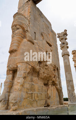 Cheval tête de statues. Persepolis a été la cérémonie de capitale de l'Empire achéménide Banque D'Images